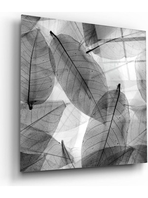 Petmudo AVM Siyah-Beyaz Yapraklar Cam Tablo