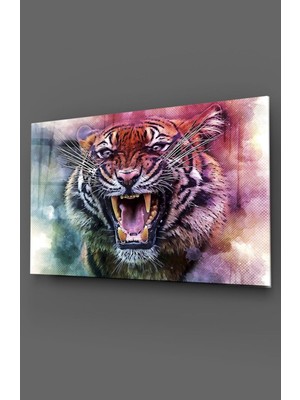 Petmudo AVM Kaplan Cam Tablo