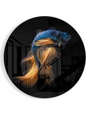 Petmudo AVM Balık Cam Tablo | Hediyelik, Dekoratif, Ofis, Mutfak