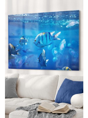 Petmudo AVM Okyanus ve Balıklar | Hayvan Temalı Cam Tablo | Dekoratif Cam Tablo | 50X70 cm