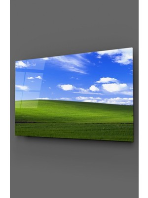 Petmudo AVM Windows Açılış Ekranı Cam Tablo