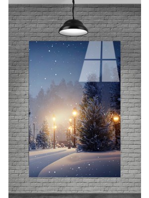 Petmudo AVM 3D Kar Manzarası Cam Tablo