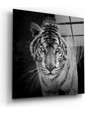 Petmudo AVM Kaplan Cam Tablo NO:2029 | Hediyelik, Dekoratif, Ofis, Mutfak