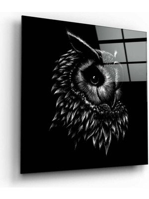 Petmudo AVM Baykuş Cam Tablo NO:4081