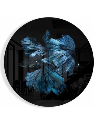 Petmudo AVM Balık Cam Tablo | Hediyelik, Dekoratif, Ofis, Mutfak