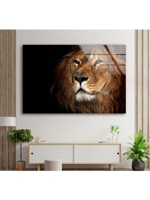 Petmudo AVM Aslan Temperli Cam Duvar Tablosu