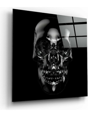 Petmudo AVM Kurukafa Cam Tablo