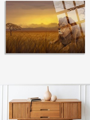 Petmudo AVM Aslan Hayvan Portre Uv Baskılı Kırılmaz Cam Tablo, Ev ve Ofis Yüksek Çözünürlüklü 4mm Cam Tablo