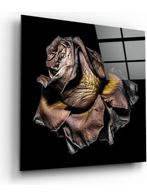 Petmudo AVM Kurutulmuş Gül Cam Tablo