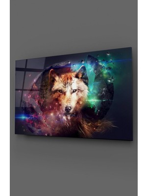 Petmudo AVM Kurt Cam Tablo