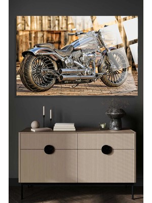 Petmudo AVM Motosiklet 4mm Lüks Kırılmaz Temperli Yüksek Çözünürlüklü Cam Tablo