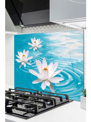 Petmudo AVM 50X50 cm Cam Ocak Arkası Koruyucu Tezgah Ankastre Arkası Koruyucu | Mermer