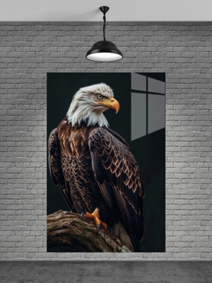 Petmudo AVM Kartal Cam Tablo Ev Dekorasyon,balkon Dekorasyonu,dekoratif,duvar Tablo,mutfak Tablo