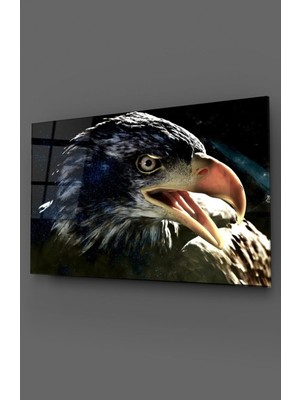 Petmudo AVM Kartal Yakın Çekim Cam Tablo