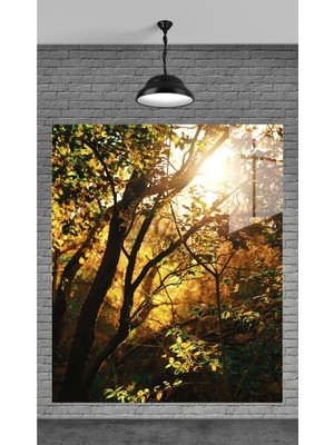 Petmudo AVM Muhteşem Güneş ve Ağaç Temperli Cam Üzerine Tablo Sevgilinize Yılbaşı Hediye
