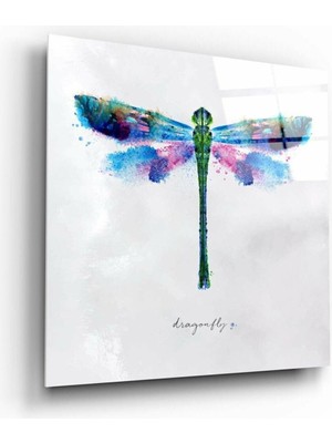 Petmudo AVM Yusufçuk Cam Tablo NO:2079 | Hediyelik, Dekoratif, Ofis, Mutfak