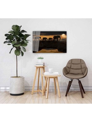 Petmudo AVM Filler ve Ay Vahşi Doğa Manzarası Cam Tablo, Darbelere Dayanıklı Kırılmaz Temperli