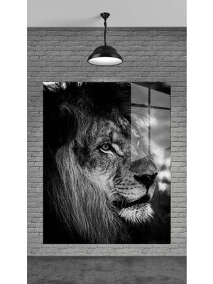 Petmudo AVM Aslan Dekoratif Temperli Cam Üzerine Tablo