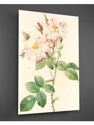 Petmudo AVM Beyaz Güller Cam Tablo