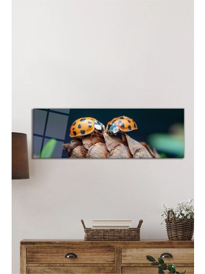 Petmudo AVM Uğur Böceği ve Kozalak Doğa Panorama Cam Tablo, Darbelere Dayanıklı Kırılmaz Temperli