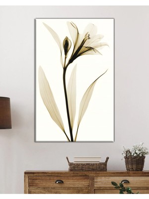 Petmudo AVM Zarif Beyaz Çiçek Röntgeni Cam Tablo, Darbelere Dayanıklı Kırılmaz Temperli