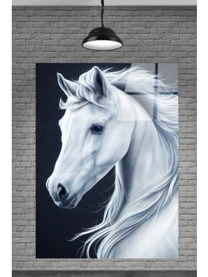 Petmudo AVM Beyaz At Cam Tablosu