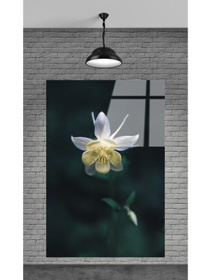 Petmudo AVM Çiçek Dekoratif Temperli Cam Tablo