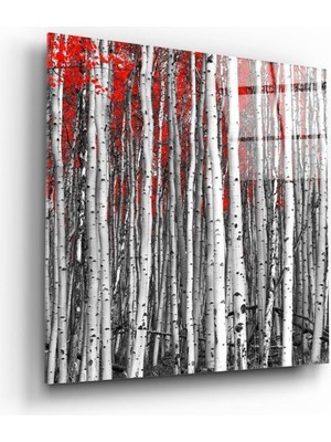 Petmudo AVM Kızıl Orman Cam Tablo | Hediyelik, Dekoratif, Ofis, Mutfak