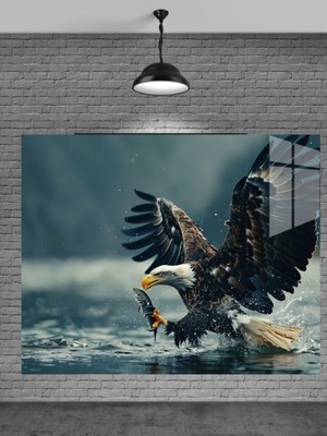 Petmudo AVM Balık Yakalayan Kartal Cam Tablo