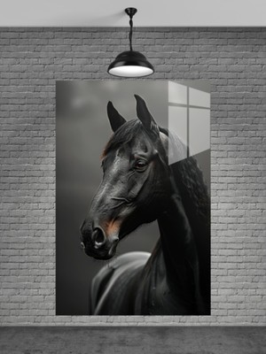 Petmudo AVM Siyah At Cam Tablo Ev Dekorasyon,balkon Dekorasyonu,dekoratif,duvar Tablo,mutfak Tablo,hediyelik