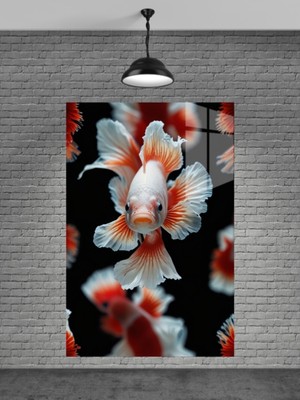 Petmudo AVM Kırmızı Beyaz 3D Balık Cam Tablo