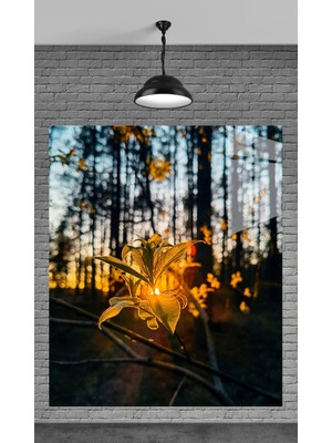 Petmudo AVM Muhteşem Ormandaki Çiçek Temperli Cam Üzerine Tablo Sevgilinize