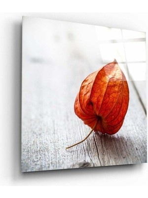 Petmudo AVM Kuru Yaprak Cam Tablo | Hediyelik, Dekoratif, Ofis, Mutfak