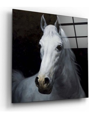 Petmudo AVM At Cam Tablo NO:4078