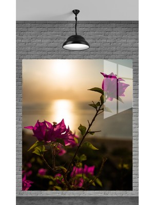 Petmudo AVM Pembe Gül Manzarası Temperli Cam Üzerine Tablo Sevgilinize Yılbaşı