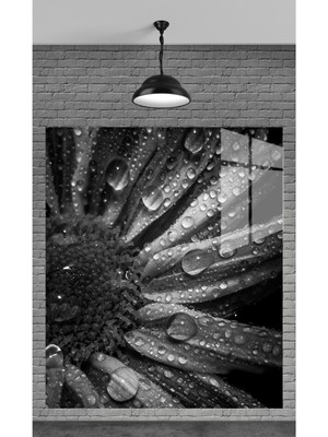 Petmudo AVM Muhteşem Siyah Yaprak Yağmur Damlası Temperli Cam Üzerine Tablo Sevgilinize Yılbaşı Hediye