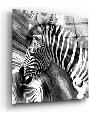 Petmudo AVM Zebra Cam Tablo NO:6002 | Hediyelik, Dekoratif, Ofis, Mutfak