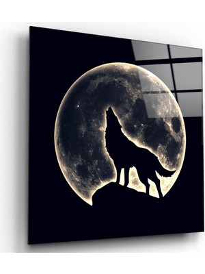 Petmudo AVM Kurt ve Dolunay Cam Tablo NO:2009 | Hediyelik, Dekoratif, Ofis, Mutfak