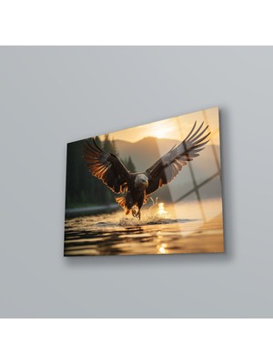 Petmudo AVM Görkemli Kartal Cam Tablo , Temperli Cam Üzerine Baskı , Yüksek Kalite , Asılmaya Hazır , Ev Dekoru