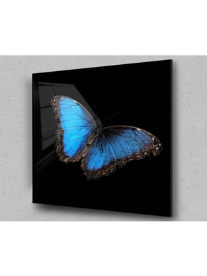 Petmudo AVM Mavi Kelebek Kare Cam Tablo, Kelebek Tablo, Doğa Tablo, Duvar Dekor, Büyük Tablo, Cam Duvar Tablo