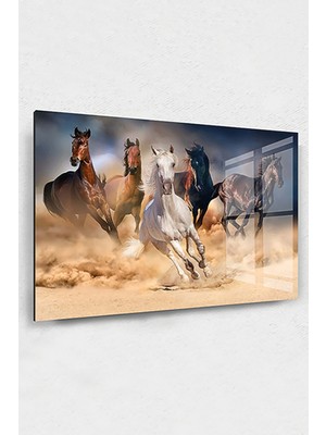 Petmudo AVM Koşan Atlar Cam Tablo, At Tabloları, Doğa Tabloları, Duvar Dekor, Büyük Tablo, Cam Duvar Tablo