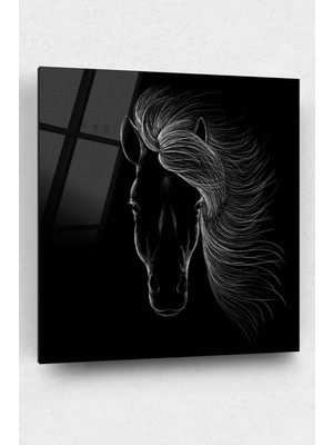 Petmudo AVM Siyah Beyaz At Kare Cam Tablo, At Tablo, Doğa Tablo, Duvar Dekor, Büyük Tablo, Cam Duvar Tablo