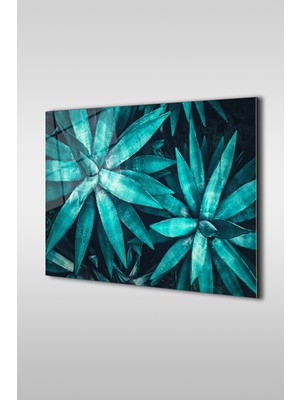 Petmudo AVM Muz Ağacı Yaprakları Yakın Çekim Yatay Cam Tablo