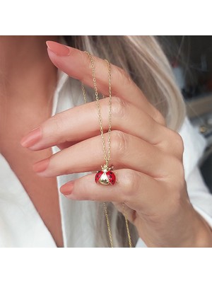 Vaoov 925 Ayar Gümüş Kırmızı Mineli Uğur Böceği Kolye