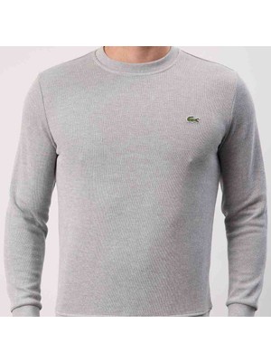 Lacoste Bisiklet Yaka Dar Kesim Gri Erkek Sweatshirt