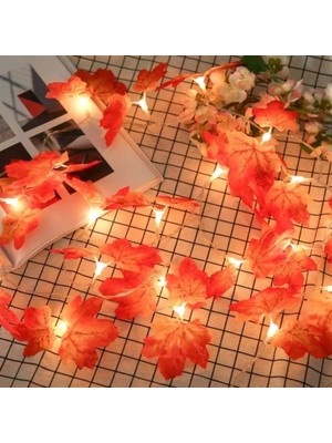 Timion Sonbahar Konseptli Dekoratif Yaprak Desenli Şerit LED Gece Lamabası (5148)