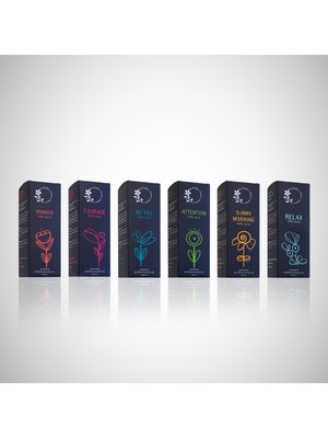 Body Spray 6'lı Set 100ML, Herlındes Flower Power