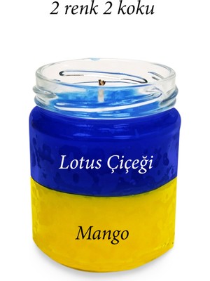 Royaleks Premium Seri 2 Renk 2 Koku Sarı Lacivert Beş Yıldız Kavanoz Mum 210 cc - Ryl