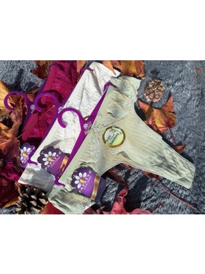 Assina 3 Lü Set Bambu Tanga ( Bordo,ekru,küf Yeşili) ( Düğün,nişan,kına,özel Gün,sevgililer Günü)