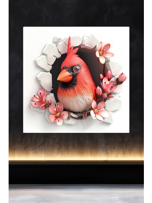 Lucena Metal Tablo Duvardaki Delik Koleksiyonu - Kardinal Kuşu 3